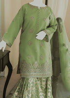 Zariya Clothing Jugni Women 3pcs