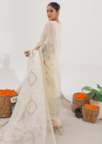 Zarqun 2453 B Women 3pcs