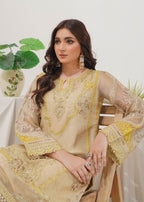 Zarqun 2437 B Women 3pcs