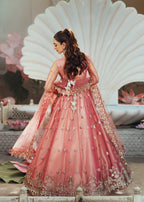 Aroosh Naulakha AR 142 ZORA Women 3pcs