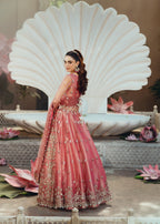 Aroosh Naulakha AR 142 ZORA Women 3pcs