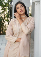 Rang-e-Noor Rnv 35 Women 3pcs