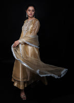 Zar Ayla EMBROIDRED LAMA TISSUE SUIT Golden Women 3pcs