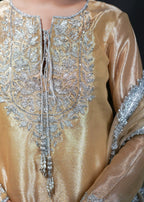 Zar Ayla EMBROIDRED LAMA TISSUE SUIT Golden Women 3pcs