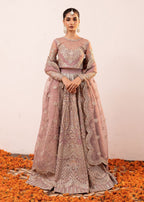 Rang-e-Haya Alexa (Seashell Pink) Women 4pcs