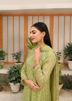 Ayesha Closet Chandni Pistachio Women 3pcs