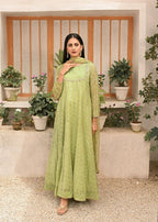 Ayesha Closet Chandni Pistachio Women 3pcs