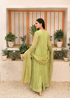 Ayesha Closet Chandni Pistachio Women 3pcs