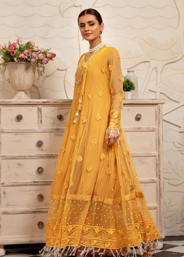 Pashmire Zarnish Women 3pcs