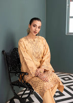 Mehryam Collection Skin Color Embroidered Poplin Suit Women 2pcs
