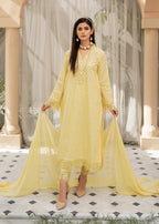Pashmire Canry Women 3pcs