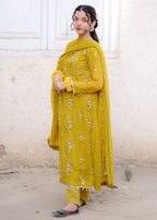 Four Season Boutique NOOR E HANIA FROK DHANI GREEN Women 3pcs