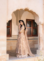 Haseens Official Gulnoor Women 3pcs