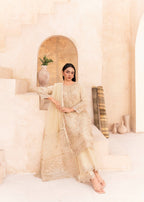 Fanoor Official NF 06 Women 3pcs