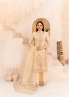 Fanoor Official NF 06 Women 3pcs