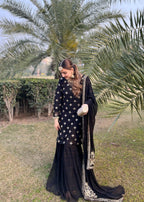 Laal Clothing SLC 036 Women 3pcs