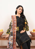 Fatima Noor’S Collections Psd 13 3 Women 3pcs