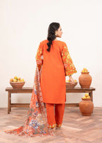Fatima Noor’S Collections Psd 13 4 Women 3pcs