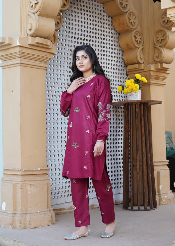 Stylish Collection AMIYA EMBROIDERED Women 2pcs