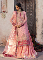 Zarqun 2497B Women 3pcs
