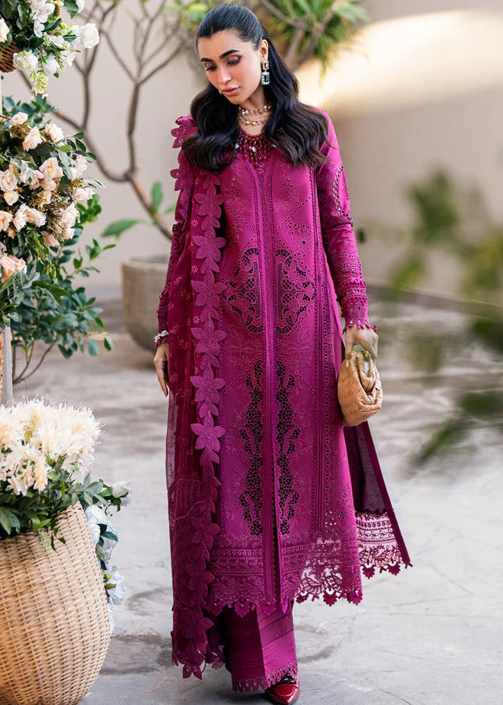 Qalamkar QK VIOLET FK 11 Women 3pcs