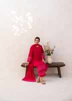 Arsh Apparel ALIRAH Women 3pcs