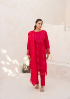 Arsh Apparel NERAH Women 3pcs