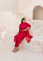 Arsh Apparel NERAH Women 3pcs