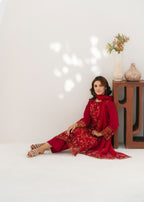 Arsh Apparel SIARA Women 3pcs