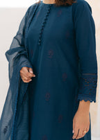 Arsh Apparel RAYA Women 3pcs