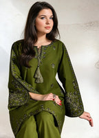 Chaudhary Arts Hijab Embroidered Women 2pcs