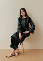 Chaudhary Arts kaamla Embroidered Women 2pcs