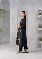 Abeera Art No. AB 38 – Elegant Threads: Cotton Embroidered Suit Women 2pcs