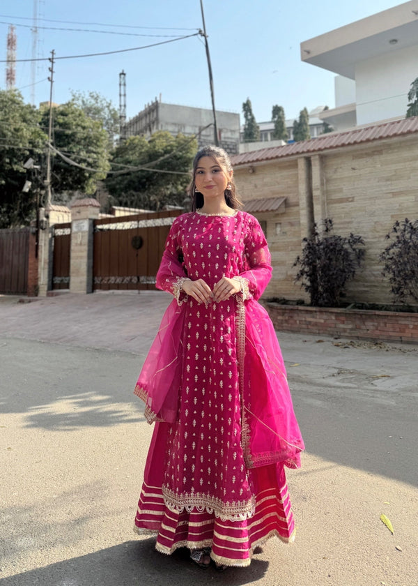 Suits By Sadia Pink double frock Women 4pcs