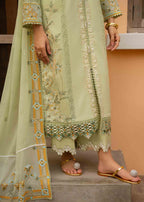 Jeem FERN GREEN Women 3pcs