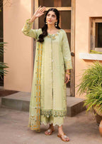 Jeem FERN GREEN Women 3pcs