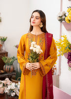 Pashmire Sehr Women 3pcs