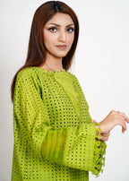 Bint-E-Hussain Chikankari Organza kurta Set Neon Green Women 2pcs