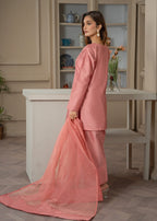 Momin Online farshi shalwar 004 Women 3pcs