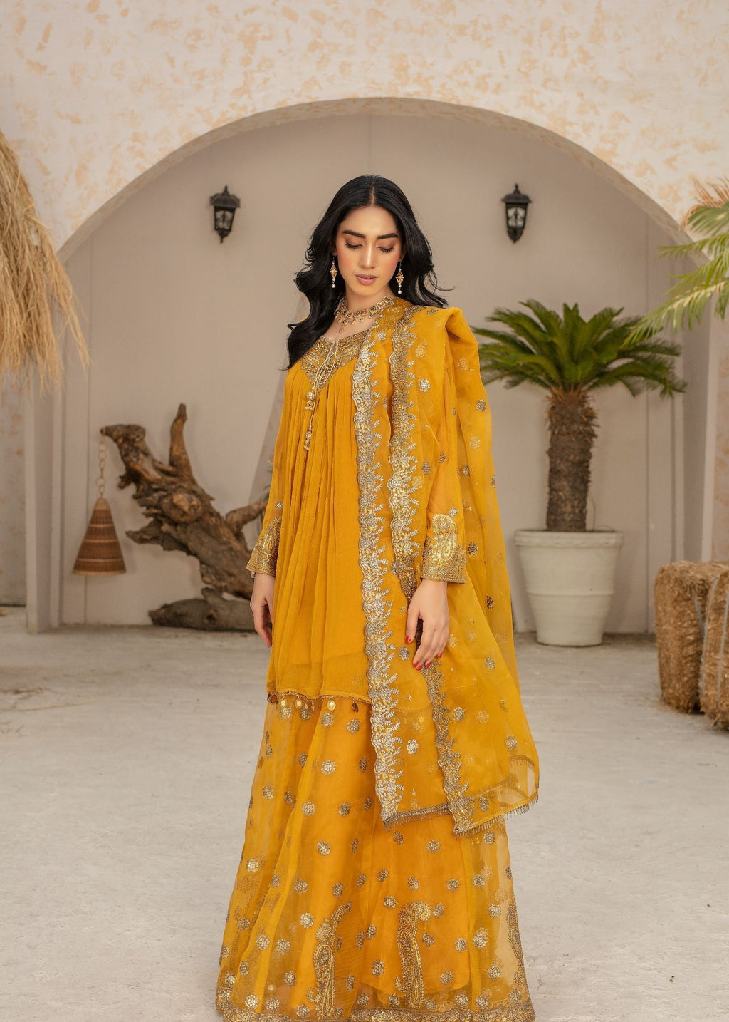 Pehnawa By Bin Akram’s LUSTROUS LEGACY MST CHIFFON/ORGANZA Women 3pcs
