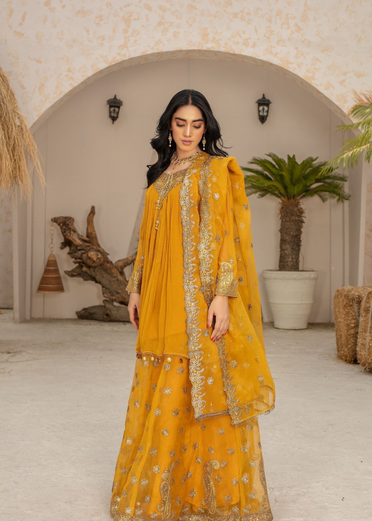 Pehnawa By Bin Akram’s LUSTROUS LEGACY MST CHIFFON/ORGANZA Women 3pcs