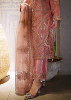 Laal Clothing NLC 046 Women 3pcs