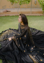 Tabassum Gauhar Ara Begum Women 2pcs