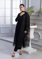 Amber Imran Official Elara Women 2pcs