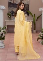 Waniya Awais WAL V1 D#4 Stitched Women 3pcs