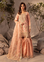 Diara Couture SHAHNOOR US 493 PEACH Women 3pcs
