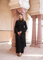 Surayya Afreen Women 2pcs