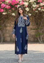 Tehzeeb Libas DESAL EMBROIDERED Women 2pcs