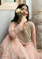 Haseens Official Nurayaa Women 3pcs