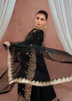 Haseens Official Mahsanur Women 3pcs